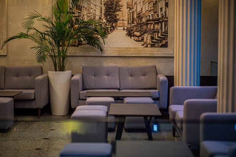 Zona lounge MiaDora cu canapele, plante și tavan din lemn, la apus